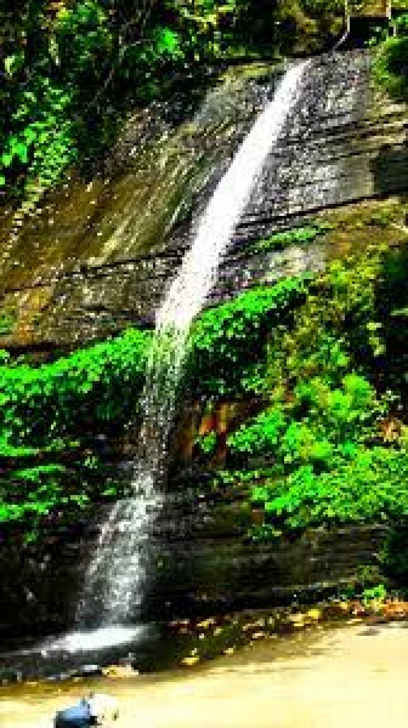 Richhang Waterfall - Toursian