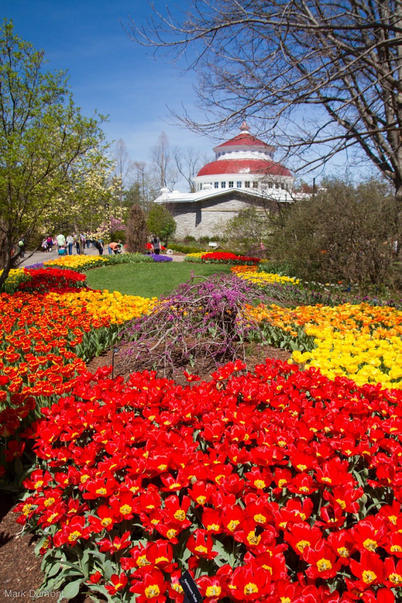 Cincinnati Zoo & Botanical Garden - Toursian